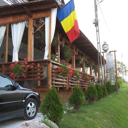 Hotel Pensiunea Pomi -Oesti à Albestii Paminteni Extérieur photo