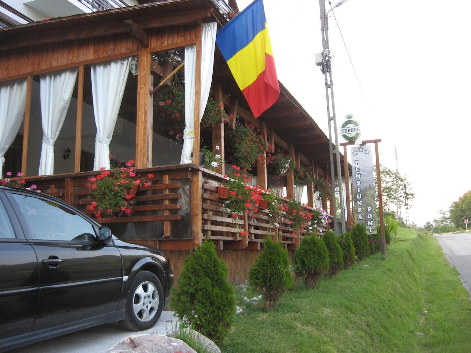 Hotel Pensiunea Pomi -Oesti à Albestii Paminteni Extérieur photo