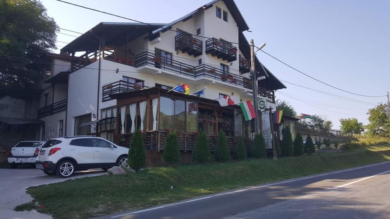 Hotel Pensiunea Pomi -Oesti à Albestii Paminteni Extérieur photo